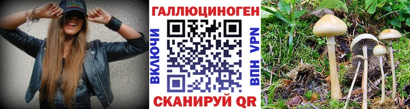 Галлюциногенные грибы GOLDEN TEACHER  закладка  Ялуторовск 